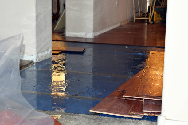Professional Basement Flood Cleanup technician working in Rossville, IN